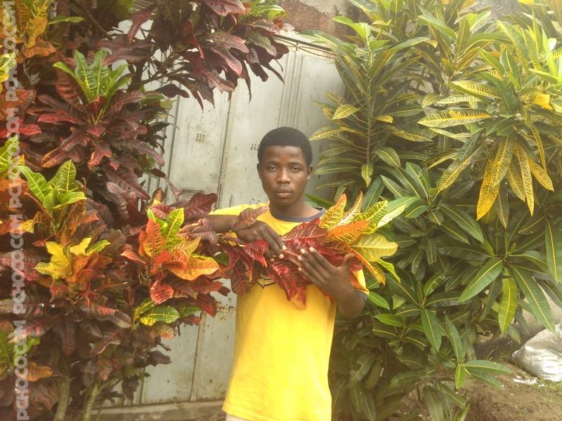 Second Image of Armando28. Entreprenant , simpa , étudiant en science , vie a abidjan . recherche des correspondant, filles comme garçon avec qui découvrir des points commun , tchater tout le temps et surtout entreprendre une relation intime avec une jeune fille simpa , fidel qui na pas peur qu'on l'aime . mes hobbies sont les suivants , la plage, la muisik et tout autre sortie educative