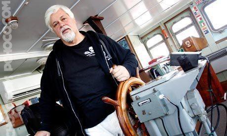 Image de PaulWatson1. I am Captain Paul Watson. My primary interest is in defending and protecting marine life in our oceans.